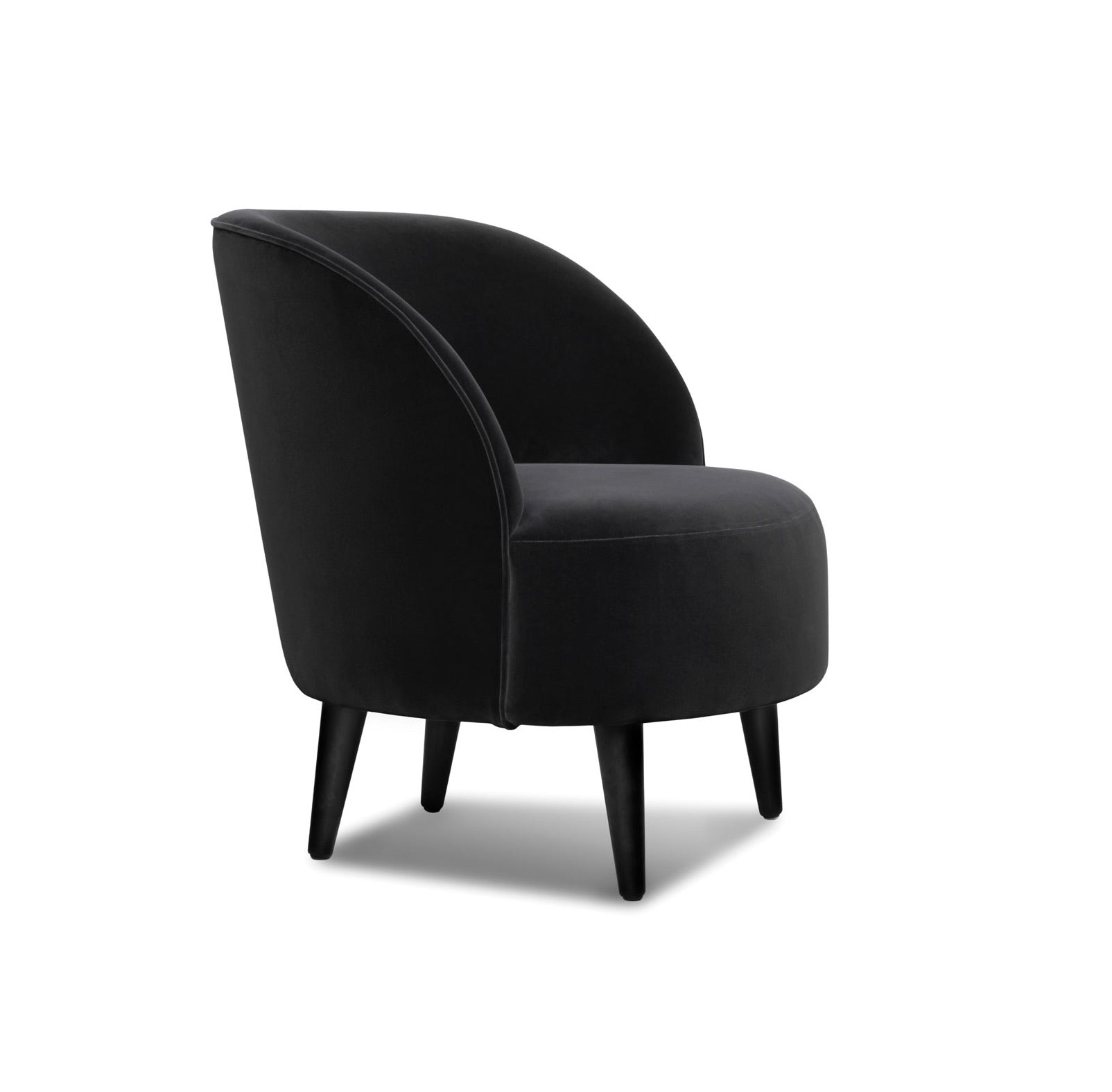 Lounge Chair AD010